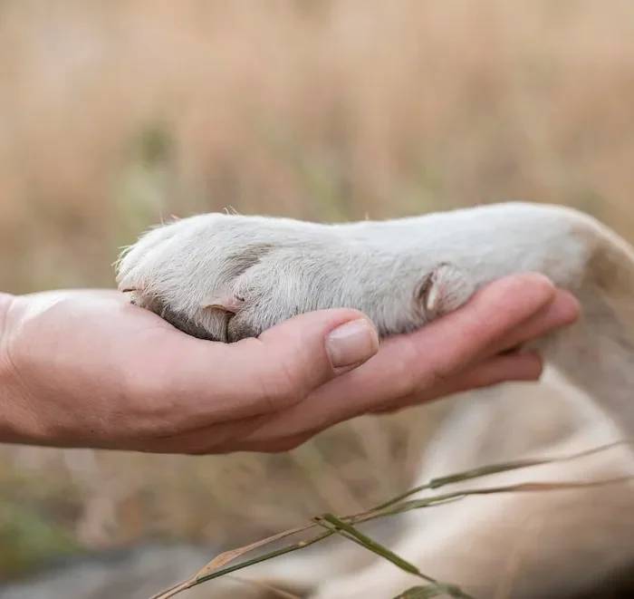side-view-person side-view-person